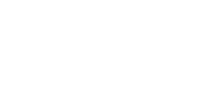Andamios Laguna